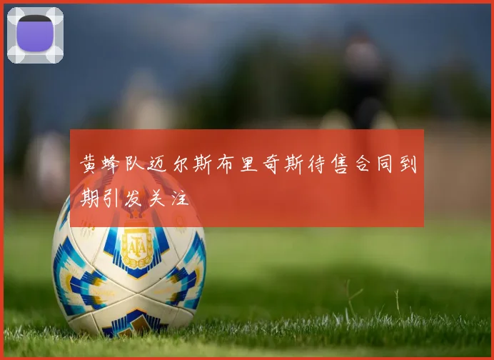 黄蜂队迈尔斯布里奇斯待售合同到期引发关注